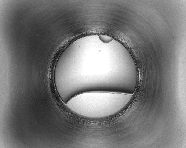 X0000093600348200710151002