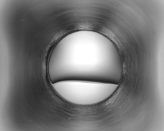 X0000093600349200710151002