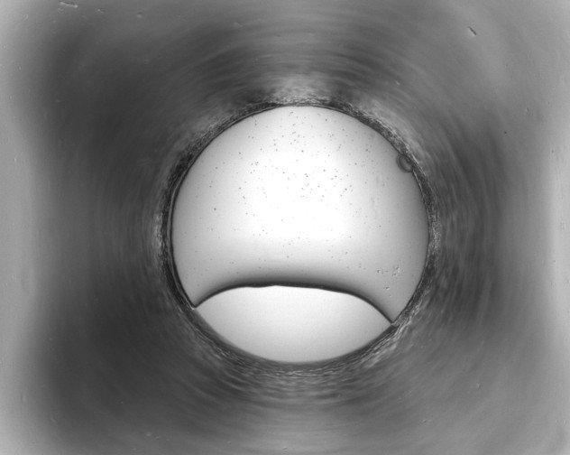 X0000093600353200710151002