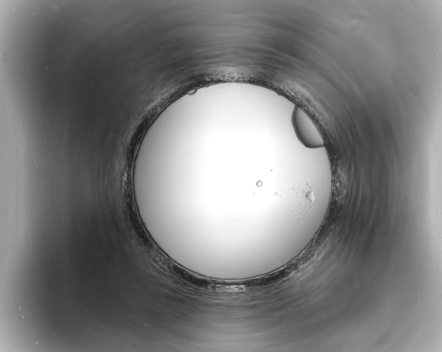 X0000093600355200710151002