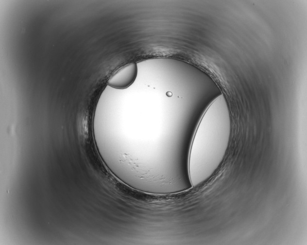 X0000093600358200710151002