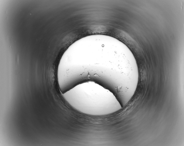 X0000093600362200710151002