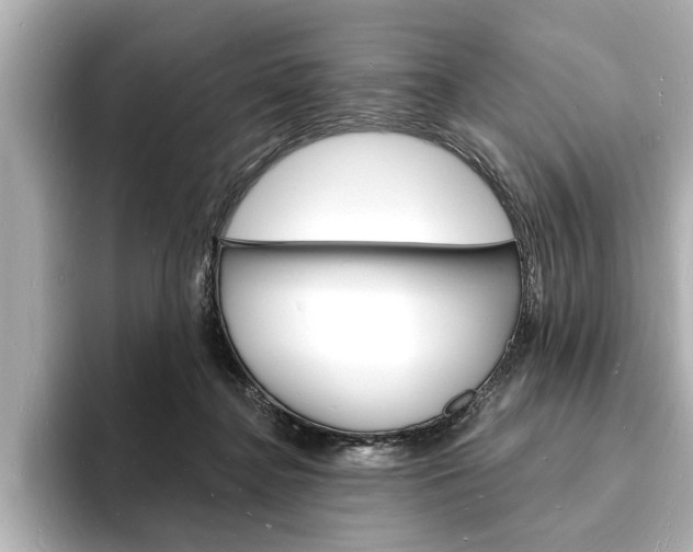 X0000093600364200710151002
