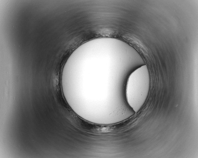 X0000093600365200710151002