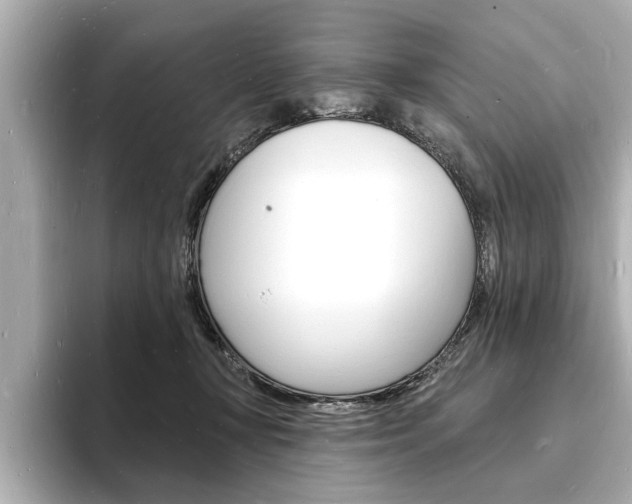 X0000093600367200710151002
