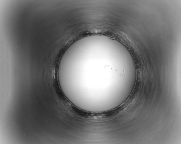 X0000093600368200710151002