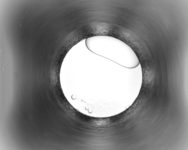 X0000093600370200710151002