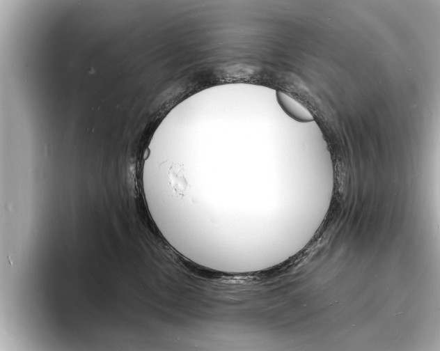 X0000093600378200710151002
