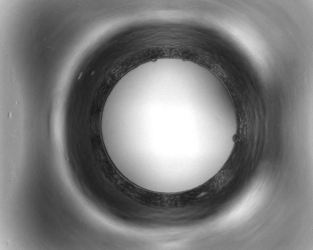 X0000093600383200710151002
