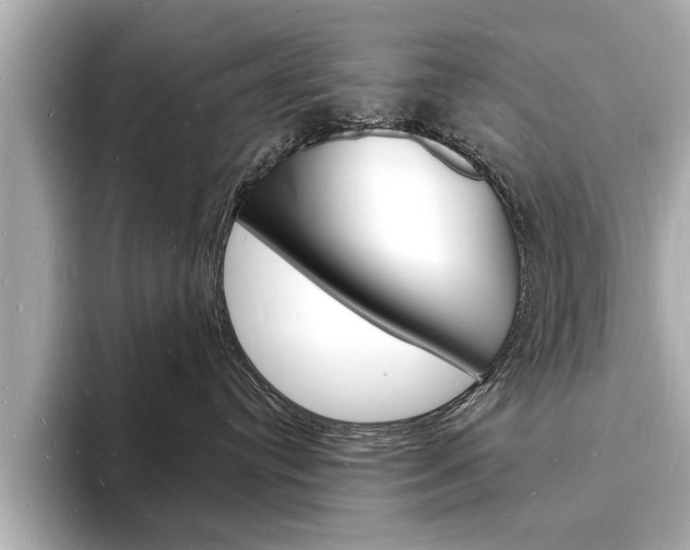 X0000093600384200710151002