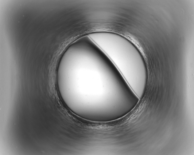 X0000093600385200710151002