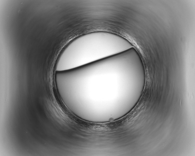 X0000093600386200710151001