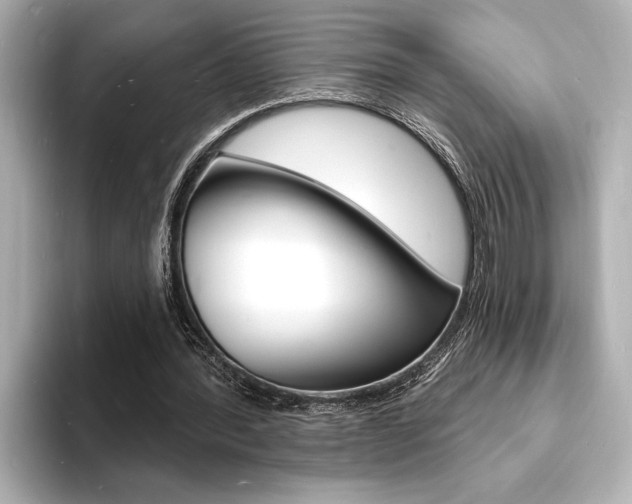 X0000093600388200710151001