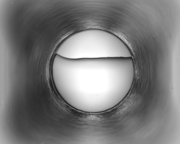 X0000093600390200710151001