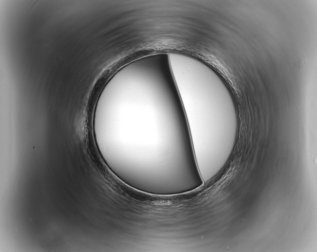 X0000093600392200710151001