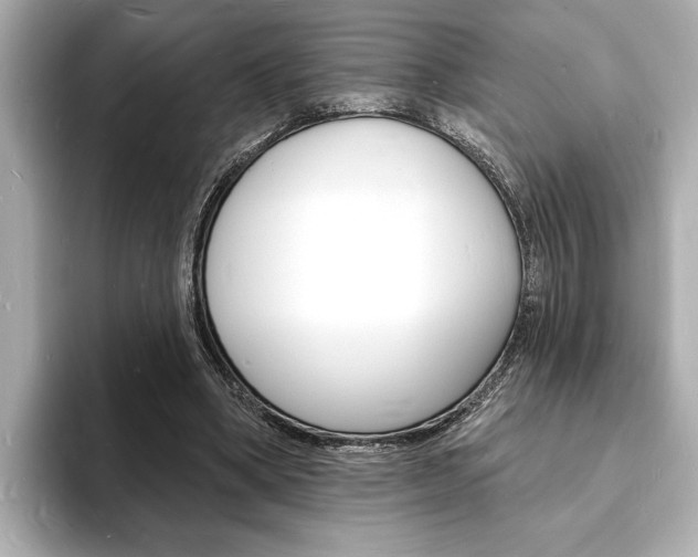 X0000093600394200710151001