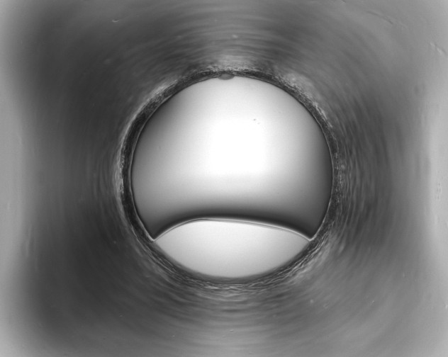 X0000093600395200710151001