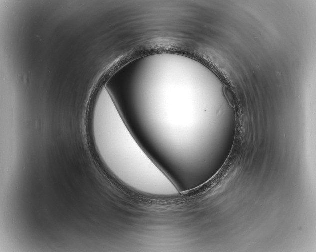 X0000093600399200710151001