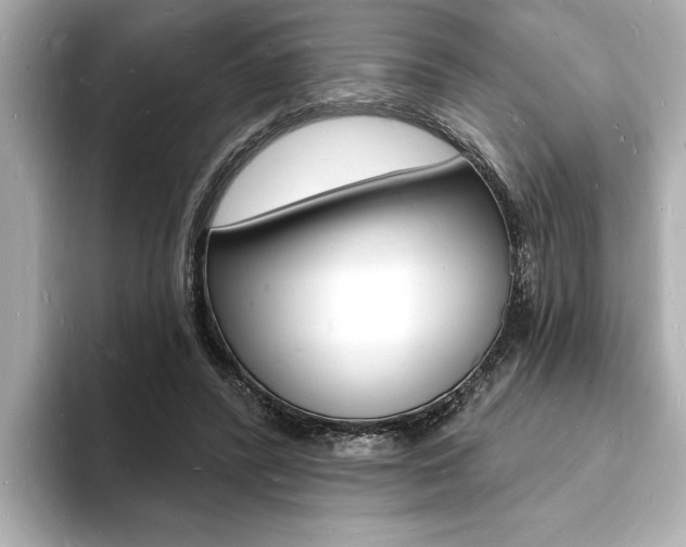 X0000093600400200710151001