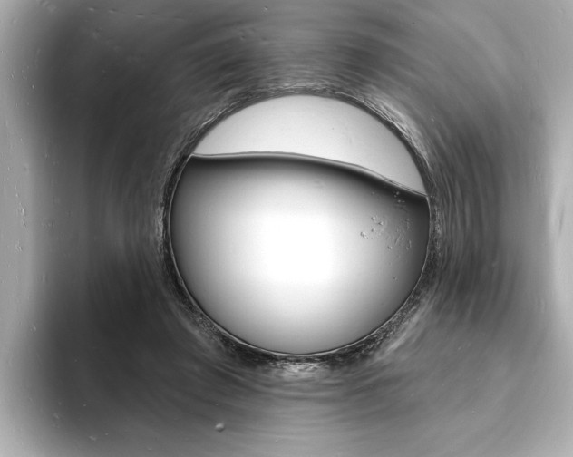 X0000093600401200710151001