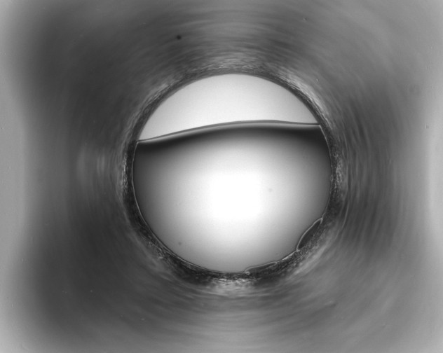 X0000093600403200710151001
