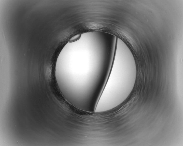X0000093600404200710151001