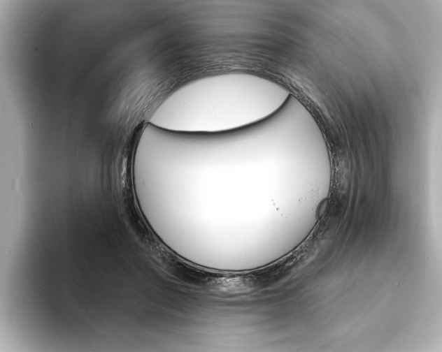 X0000093600406200710151001