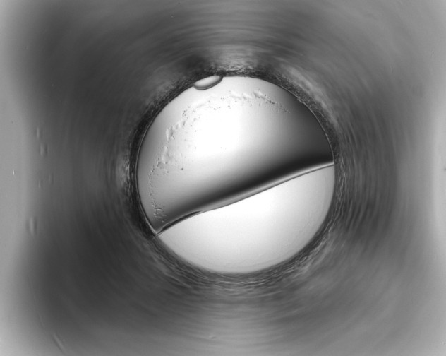 X0000093600407200710151001