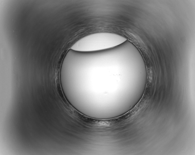 X0000093600409200710151001