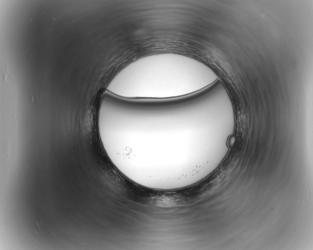 X0000093600412200710151001
