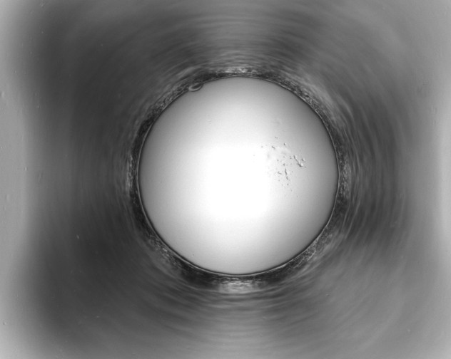 X0000093600413200710151001