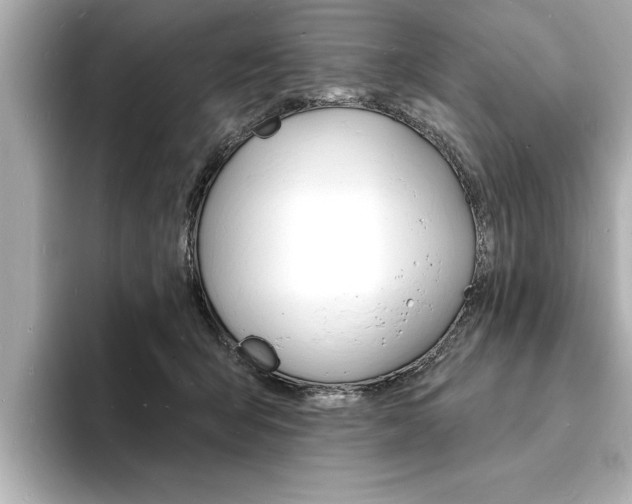 X0000093600415200710151001