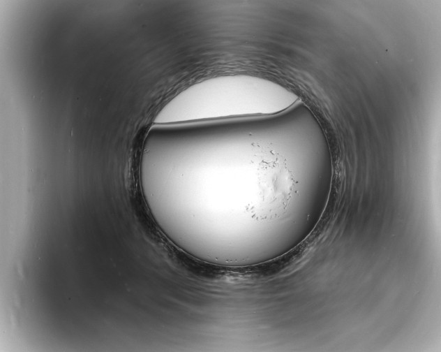 X0000093600416200710151001