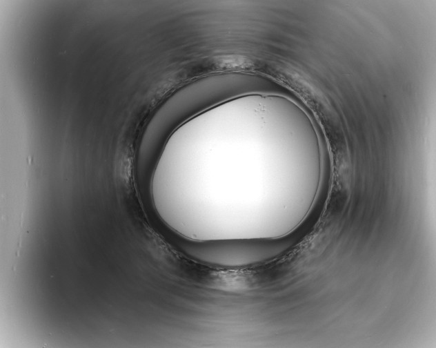 X0000093600417200710151001