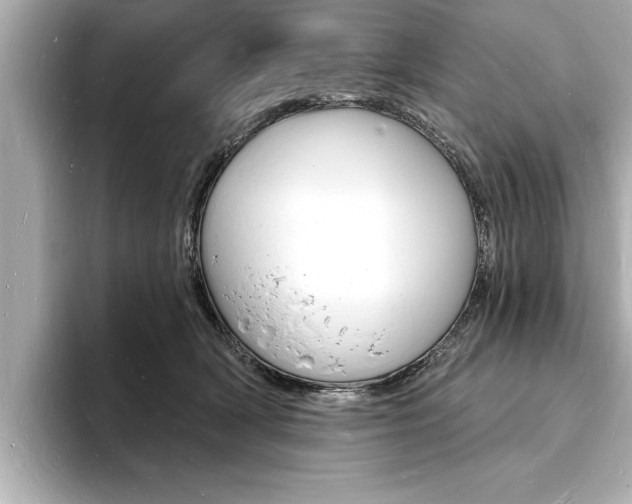 X0000093600418200710151001