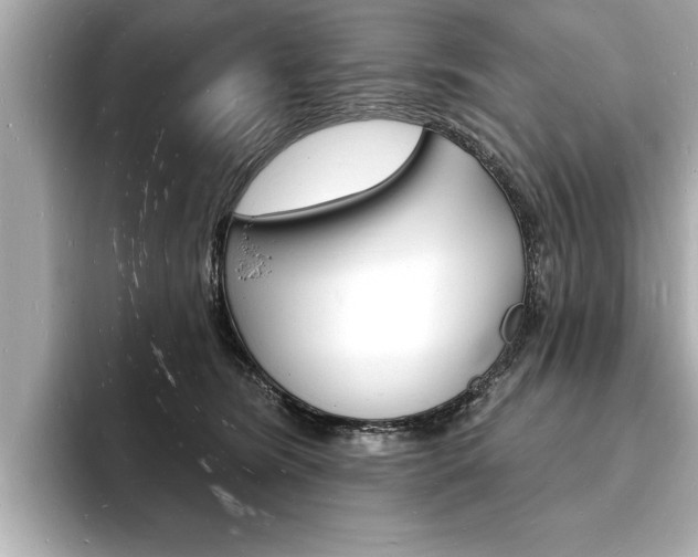 X0000093600420200710151001