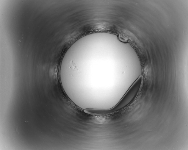 X0000093600423200710151001
