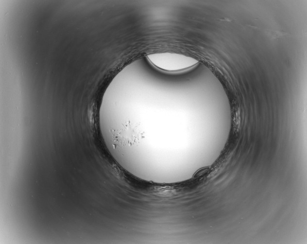 X0000093600424200710151001