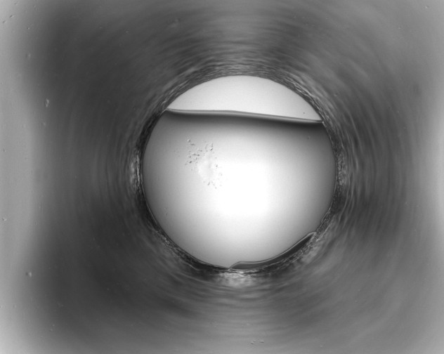 X0000093600425200710151001