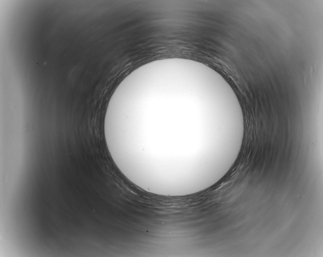 X0000093600428200710151001