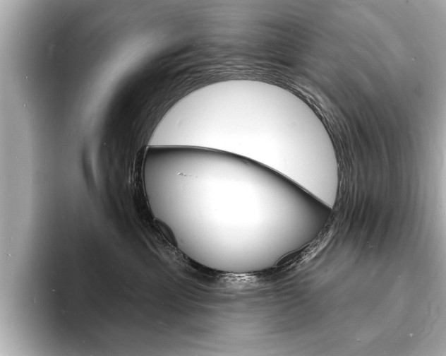 X0000093600429200710151001