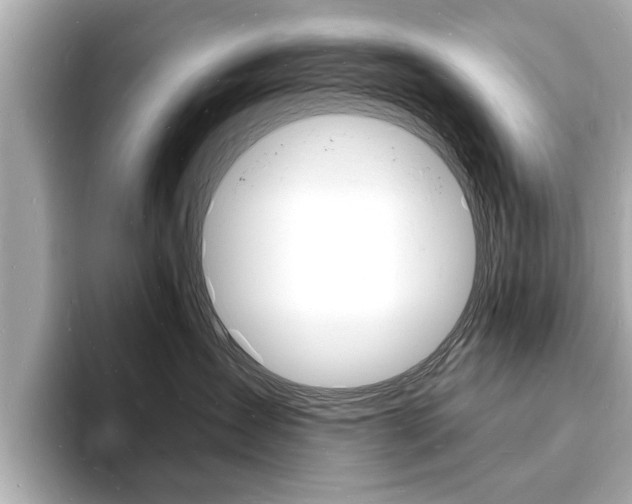 X0000093600431200710151001