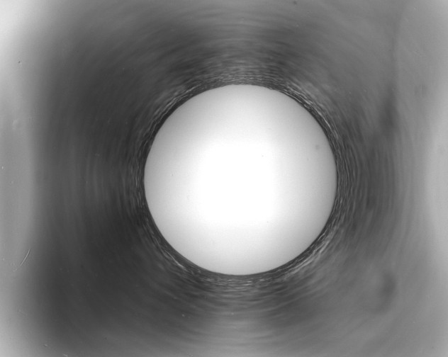 X0000093600432200710151001