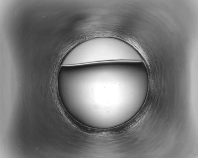 X0000093600433200710151000