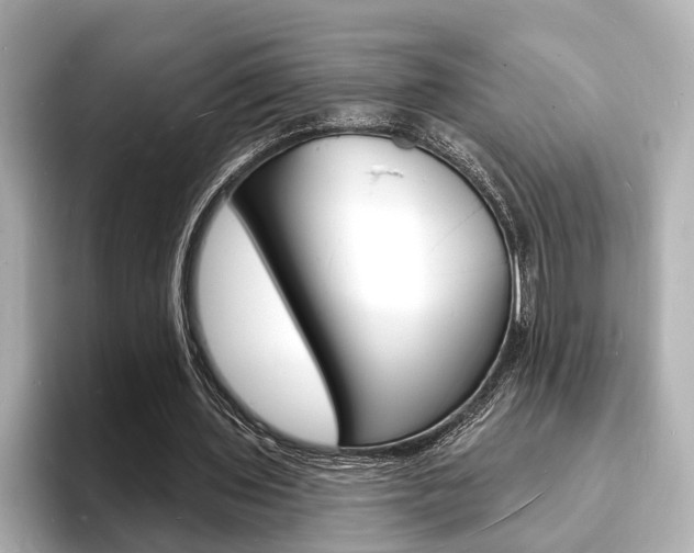 X0000093600435200710151000