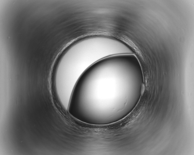 X0000093600436200710151000