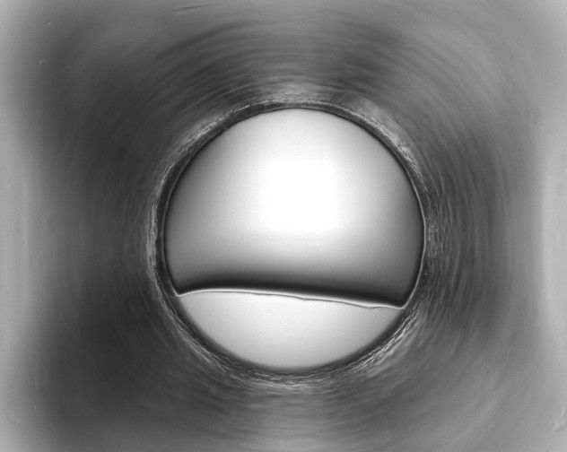 X0000093600437200710151000