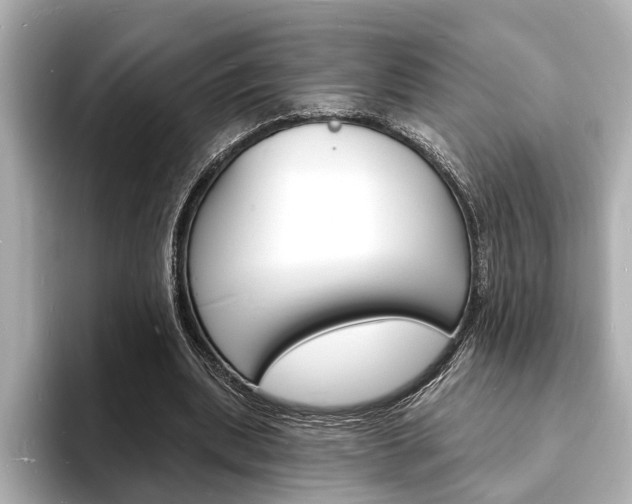 X0000093600439200710151000