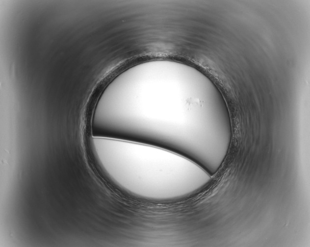 X0000093600440200710151000