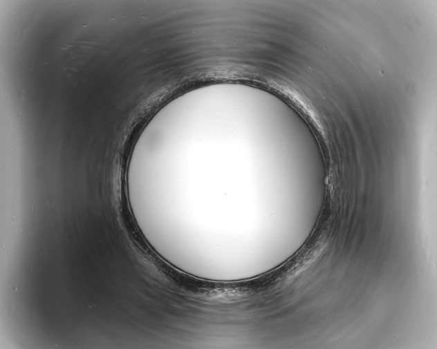 X0000093600445200710151001